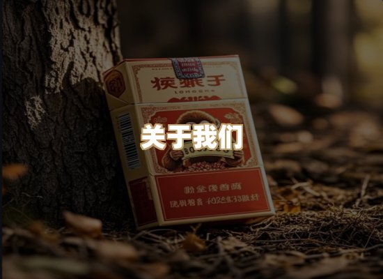 关于御龙烟网